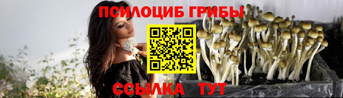 Псилоцибиновые грибы MAGIC MUSHROOMS  Вход с VPN  Вязники 